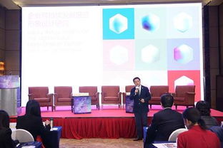 企业形象与可持续发展双翼齐飞 设计研究成果引领软件开发与策划新篇章